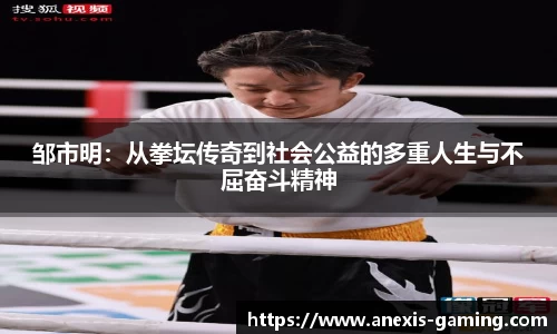 必博Bibo