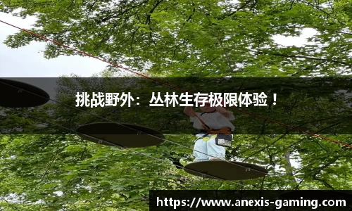 必博Bibo